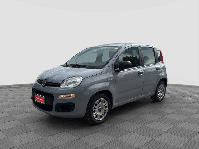 Image of Fiat Panda