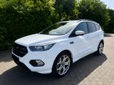 Ford Kuga 1,5 EcoBoost 4x2 110kW ST-Line ST-Line - Ford Kuga: 2.5