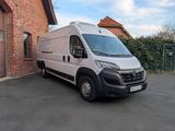 Opel Movano Kühlkasten Thermo-King V-200 Max - Opel LKWs