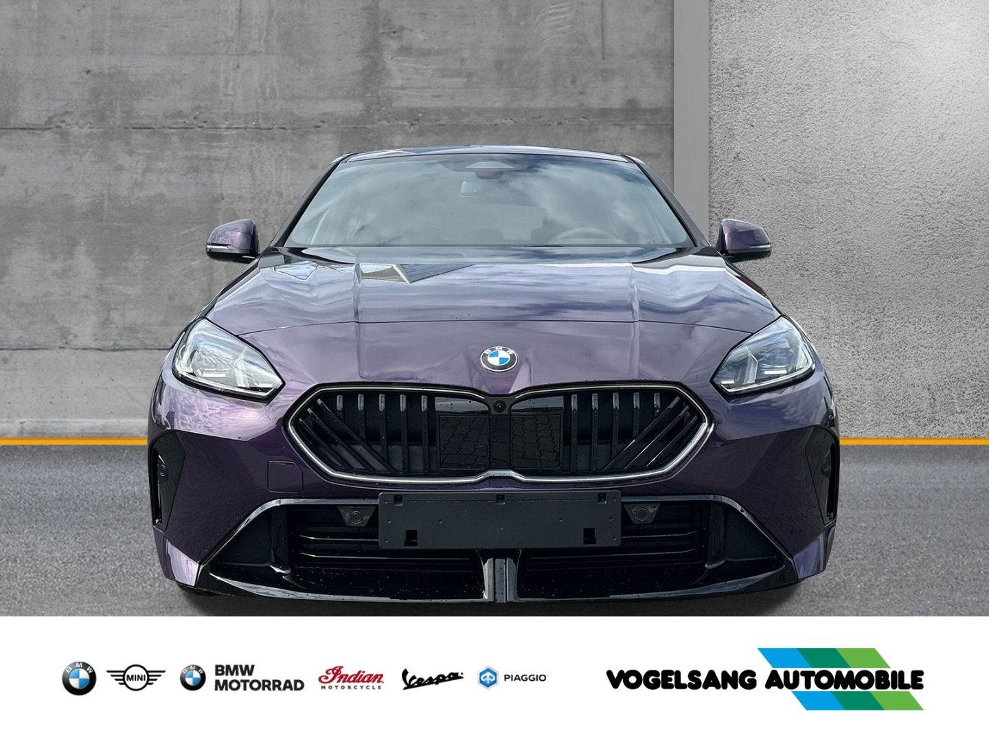 Fahrzeugabbildung BMW 116 i M Sport Park-Assistent Sportpaket Head-Up