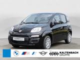 Fiat Panda 1.0 Base PDC KLIMA - Fiat Panda mit Benzin-Antrieb