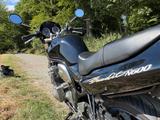 Suzuki GSF600 Bandit auf 35KW gedrosselt (entfernbar) - SUZUKI 1997 BANDIT 600