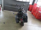 Harley-Davidson Sportster XL1200CC - HARLEY-DAVIDSON SPORTSTER XL 1200 C