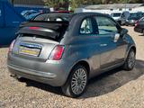 Fiat 500C**Cult**Faltdach**Leder**Klima**Digital** - gebrauchte Fiat 500C aus dem Jahr 2014
