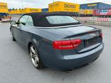 Audi A5 Cabriolet 3.0 TDI quattro S-Line/Bi-Xenon/PDC - Audi mit Diesel-Antrieb: Cabrio