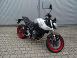 Suzuki GSX-8S - Sport Pack - Modell 2025 - Angebote