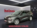 Ford Kuga 2.0 EcoBlue Titanium X LED NAVI ACC KAMERA - Ford Kuga in Dortmund