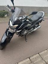 Suzuki  Suzuki GW 250 Inazuma (250ccm)  - 250CC