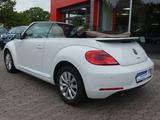 Volkswagen Beetle Cabriolet Design*Sitzhzg.*Leder*Klima*PDC - : Weiß, Cabrio