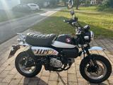 Honda Monkey 125ccm - MOTORRAD 125 CCM