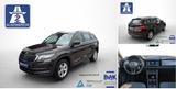 Skoda Kodiaq 1.4 TSI Ambition KLIMAAUT SHZ PDC 2HD - Skoda Kodiaq: Ambition