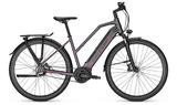 Raleigh KENT PREMIUM 28" 48 cm - Raleigh E-Bikes