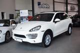 Porsche Cayenne *Panorama-/Luftfederung-/PASM* - Porsche Cayenne: Weiß