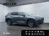 Lexus NX 450h+ E-FOUR Executive Line *AHK*Leder*360Gra - Lexus: Nx