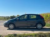 Fiat Punto / 2017 / 69PS / 85.286km - Fiat Punto von privat