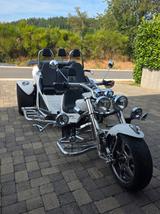 Boom Mustang Family - TRIKE