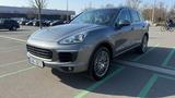 Porsche Cayenne S 4,2 TDI 450 PS sehr gepflegt  - gebrauchte Porsche Cayenne aus dem Jahr 2017