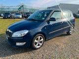 Skoda Fabia 1.2 TDI CR 75CV 5p. GreenLine - Skoda Fabia: Greenline