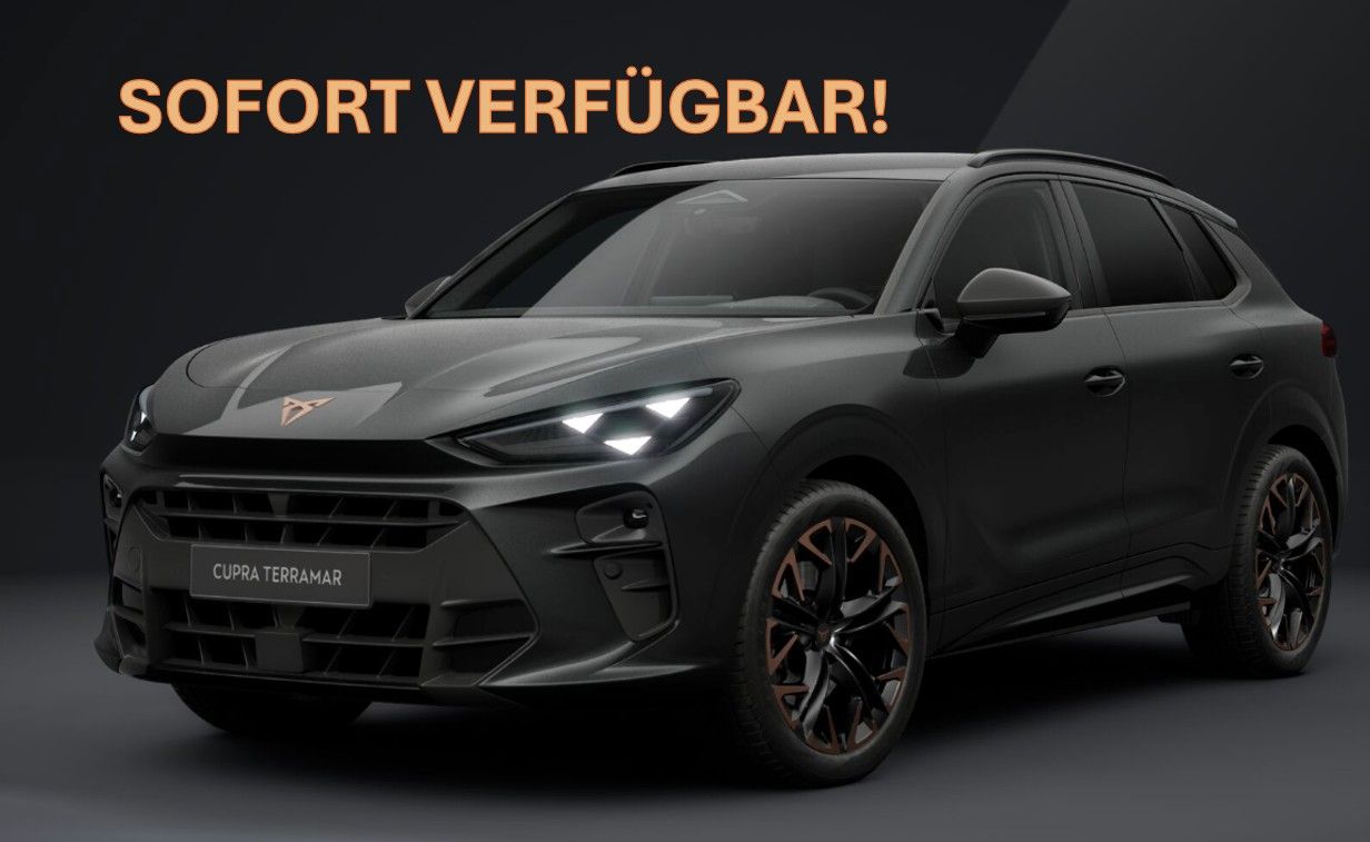 Cupra Terramar - Bild 1