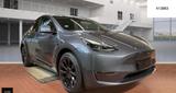 Tesla Model Y Dual AWD Autopilot3 Pano Wärmepumpe 4xSH - Tesla Model Y: Grau
