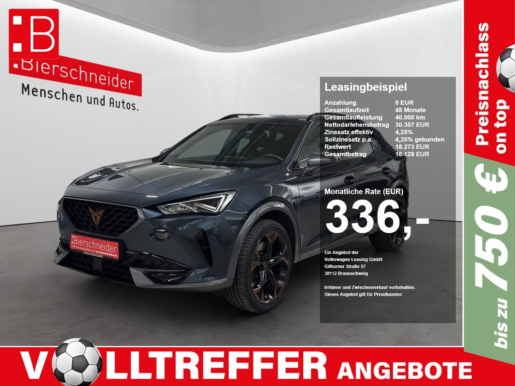 Formentor 2.0 TSI DSG 4Drive VZ LED NAVI PANO 19