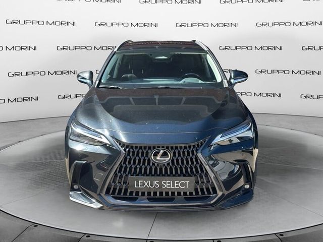 LEXUS ANDERE