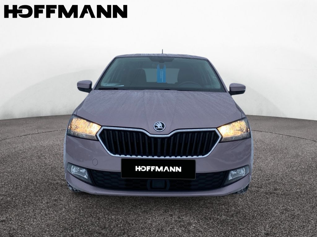 Fahrzeugabbildung SKODA Fabia 1.0 TSI Style