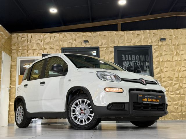 Fiat Panda /KLIMA/4-TÜRER/DAB/ALLWETTER/1-HAND