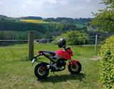 Honda MSX125 - HONDA HONDA125