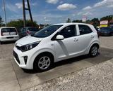 Kia Picanto Edition 7  Sportsitze Sport Lenkrad - Kia Picanto mit Benzin-Antrieb: Limousine