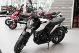 Malaguti Drakon 125 ABS, unfallfrei, 1.Hand, Scheckheft - MALAGUTI MOTORRAD