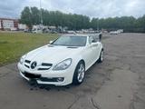 Mercedes-Benz 2LOOK EDITION, Sportpaket, SLK 200, Kompressor  - Mercedes-Benz Cabrio aus dem Jahr 2009