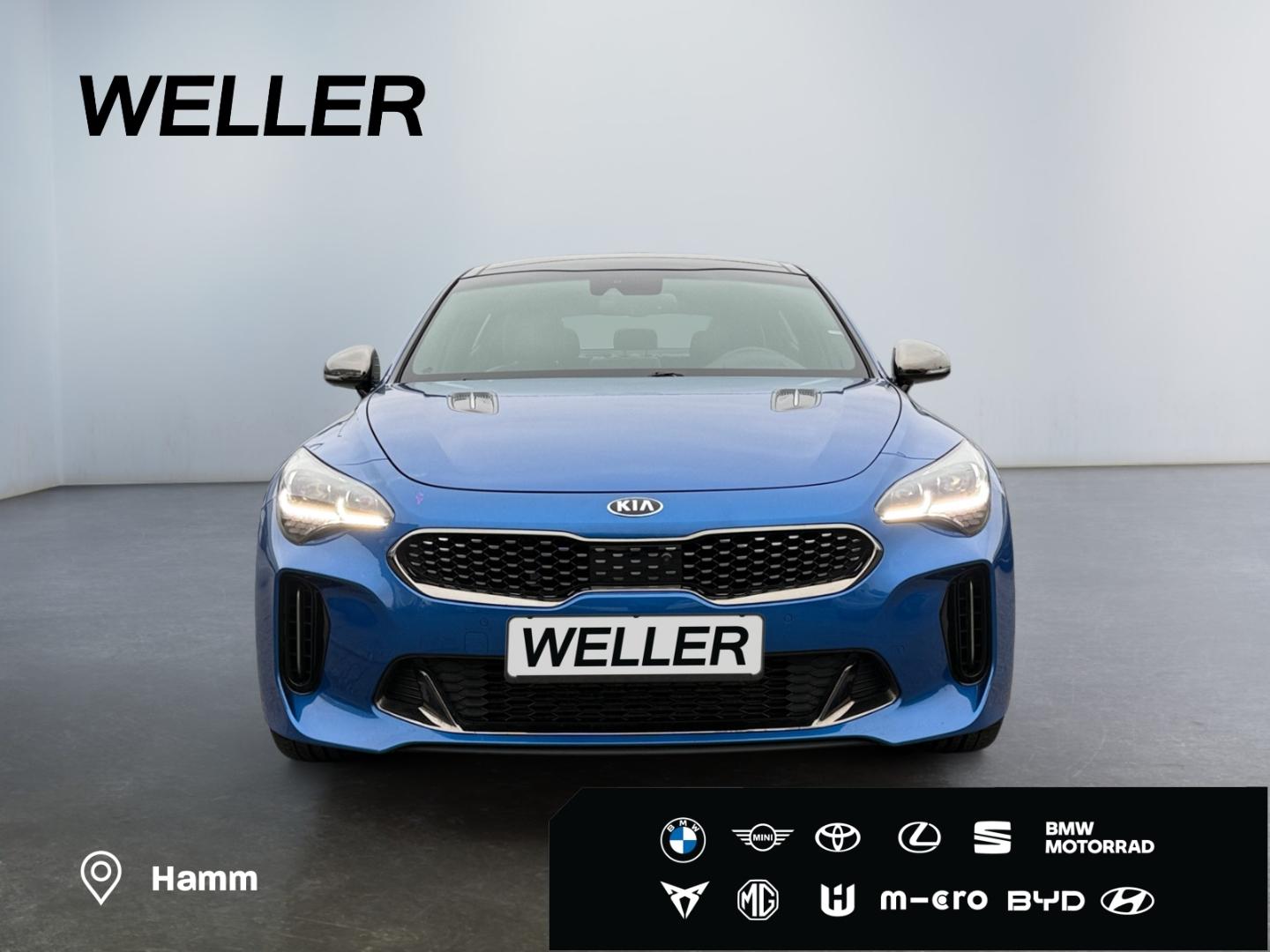 Kia Stinger GT 3.3 Turbo AWD *BASTUCK-AGA*Pano*H&K*L