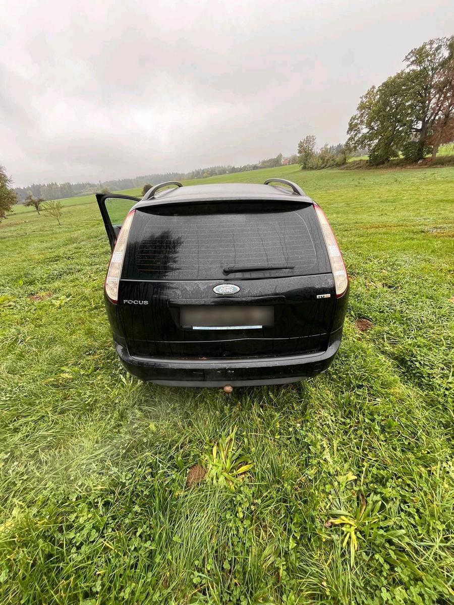Ford Focus 2010 — вигляд ззаду