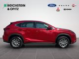 Lexus NX 300h 2.5l Business Line/Keyless/DAB/Tempomat - Lexus aus 2018