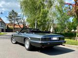 Jaguar XJSC - V12 Cabrio der Königsklasse - Jaguar: V12