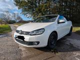 Volkswagen Golf 1.4 TSI 90 kW DSG CUP Cabriolet CUP - Volkswagen: 1.9