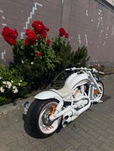 Harley-Davidson V- ROAD - HARLEY-DAVIDSON 2002