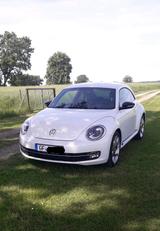 Volkswagen VW New Beetle 1,4 TSI Sport - Volkswagen New Beetle mit Benzin-Antrieb: Limousine