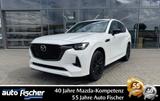Mazda CX-60 2.5 PHEV (327PS) Autom. Homura COSO Allrad - Mazda: Plug-In Hybrid