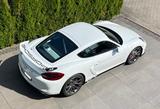 Porsche Cayman GT4 Clubsportpaket Top Zustand  - Porsche Cayman: Gt4 Clubsport