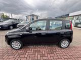 Fiat Panda Easy+1HAND+ZAHNRIEMENNEU+CARPLAY+KLIMA+PDC - gebrauchte Fiat Panda aus dem Jahr 2016
