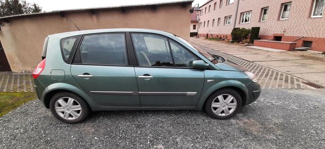 Renault Scenic, 1,6L,113 PS, 51000km.