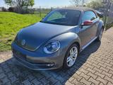 Volkswagen Beetle Cabrio 1.4 TSI CLUB+KAMERA+CLIMATRONIC+ - Volkswagen Beetle: Cabrio