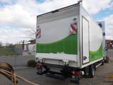 Iveco Daily 70C18 HA/8P *Kühlkoffer Thermo King T-600R - Offers