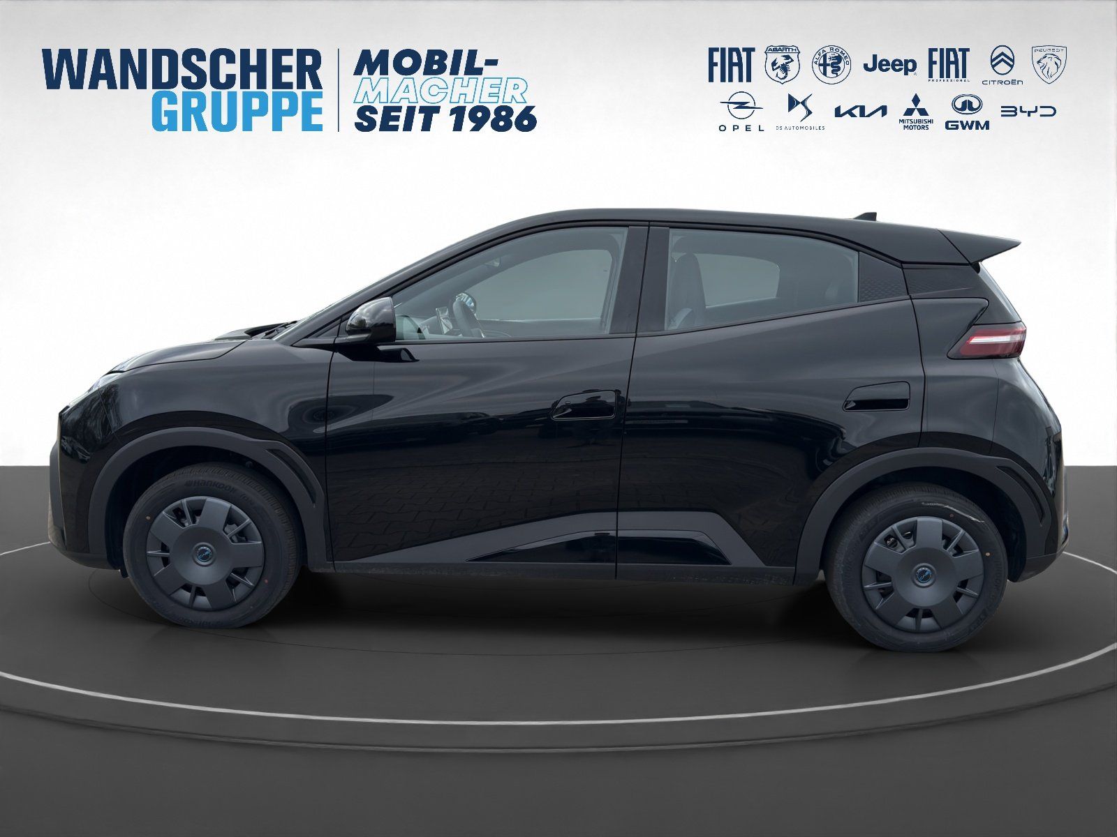 BYD DOLPHIN SURF
