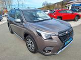 Subaru Forester 2.0ie Active Lineartronic, AHK, Hybrid - gebrauchte Subaru Forester aus dem Jahr 2023