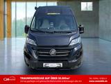 HYMER / ERIBA / HYMERCAR Free 600 - Aufstelldach - Festbett - - HYMER / ERIBA Kastenwagen