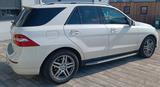 Mercedes-Benz ML 350 4MATIC BlueEFFICIENCY Edition 1 Edition 1 - Mercedes-Benz ML 350 mit Benzin-Antrieb