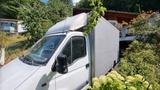 Opel Movano 2 Pferdetransporter - Tier- & Pferdetransport für 2 Pferde